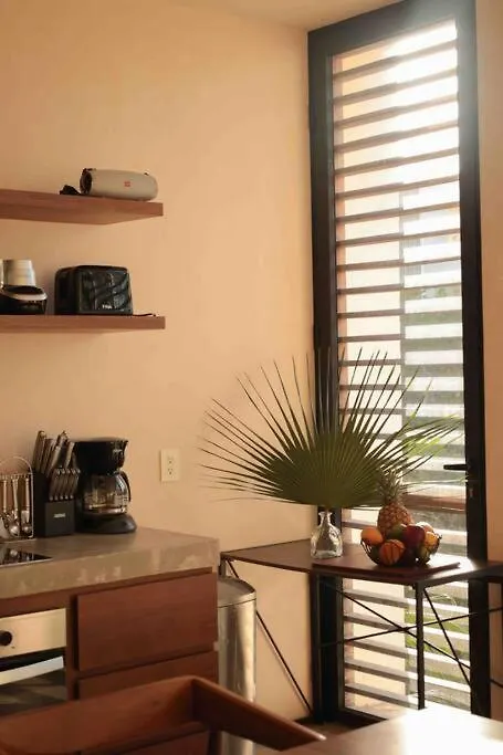 Stunning 2 Bd Ph W Private Pool Apartment Tulum Mexico